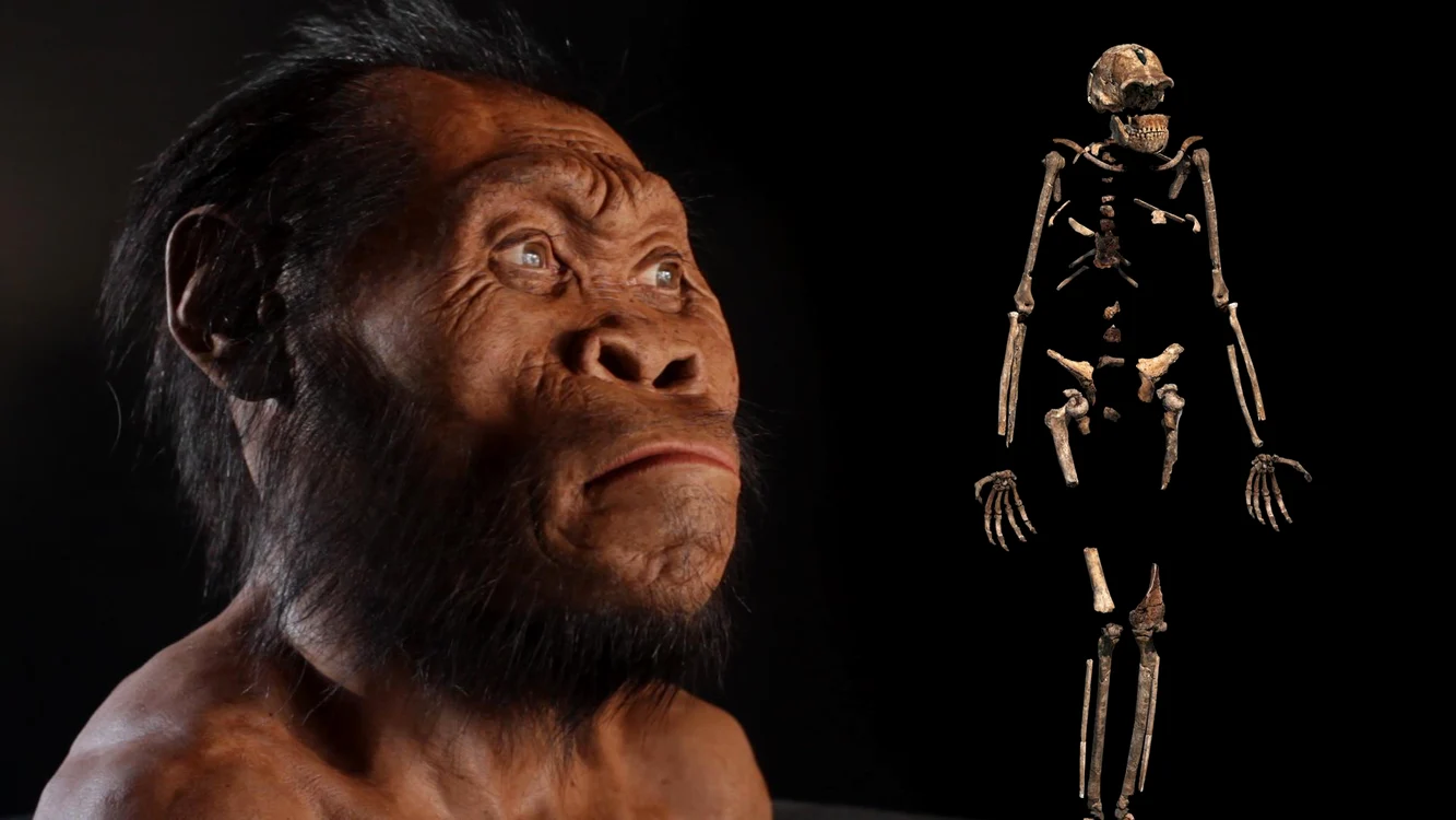 Homo naledi FOTO Twitter/National Geographic