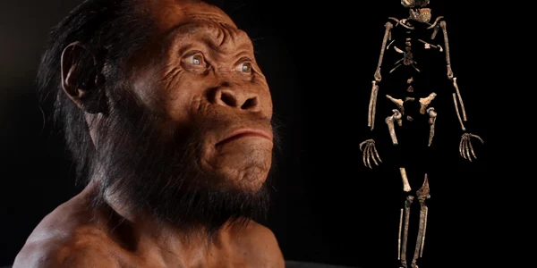 Homo naledi National Geographic jpg