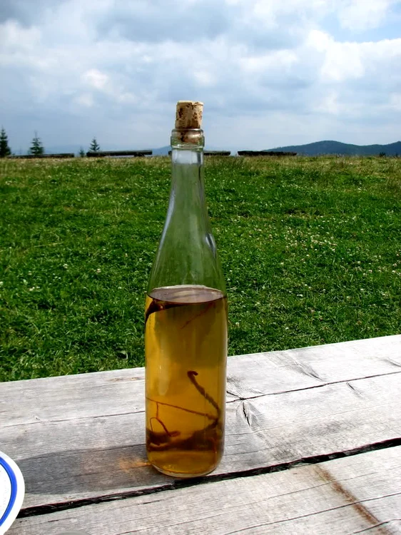 În țuică trebuie pusă o anumită cantitate de schinduc FOTO Montaniarzi.ro