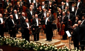 Sprijin civic pentru cultură jpeg