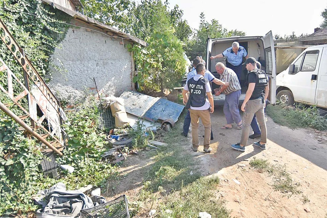 Vineri a fost forfotă mare în gospodăria de la marginea Caracalului