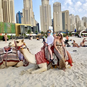 2 ela craciun dubai 1 jpg jpeg
