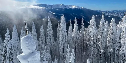 Imagini superbe surprinse în Poiana Braşov FOTO Salvamont Braşov