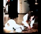 Drew Barrymore and Leslie Hope in Doppelganger (1993) jpeg