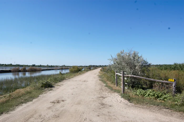 Gardul electric înconjoară o amenajare piscicolă FOTO Mariana Iancu
