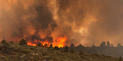 Yarnell-fire-Arizona