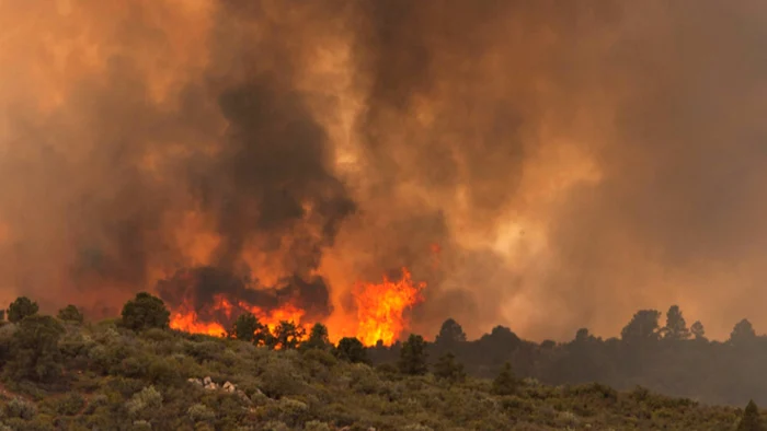 Incendiul din Arizona care a omorât 18 pompieri (foto: AP/THE ARIZONA REPUBLIC)