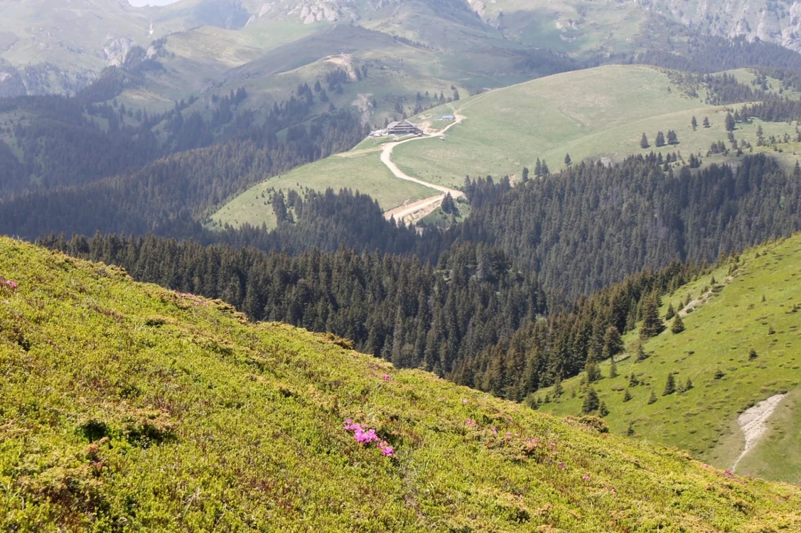Cabana Ciucaş, vedere de pe vârful Zăganu - Muntele Roşu FOTO Diana Frîncu