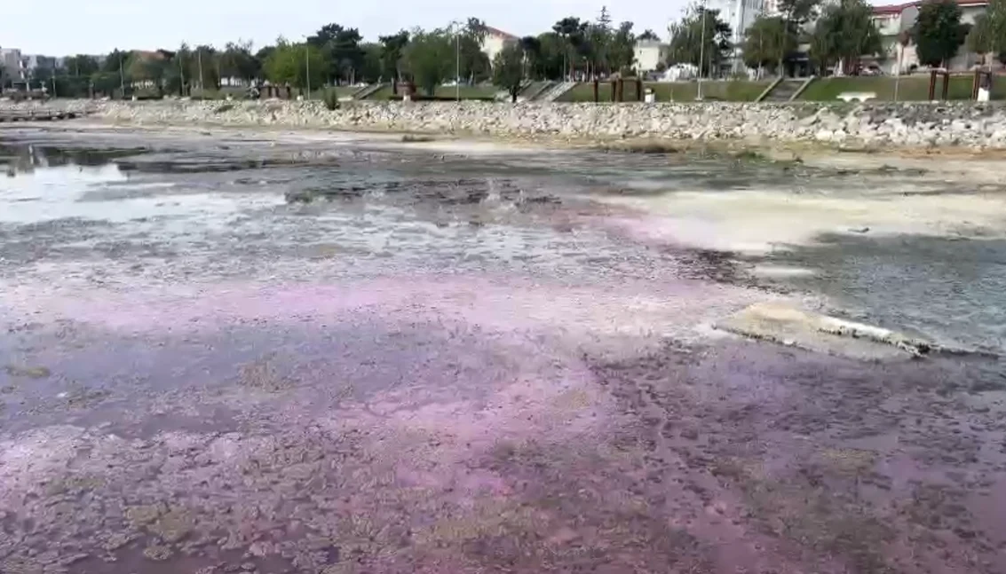Lacul Techirghiol a căpâtat o culoare roz aprins Sursa A.I.