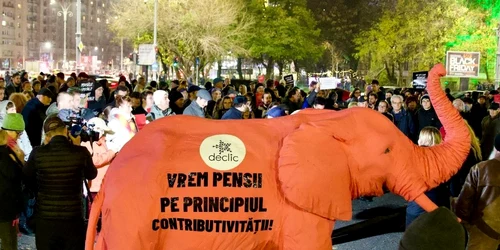protest Declic pensii speciale jpg