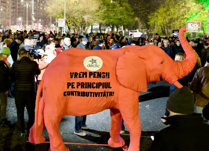 Protest în Piața Victoriei FOTO: Facebook/Declic