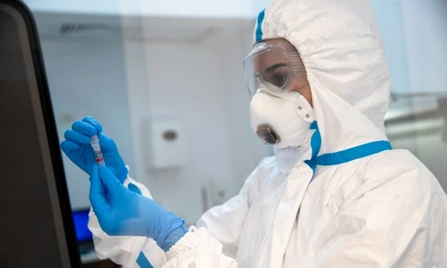 1 ilustratie regina maria jpg jpeg