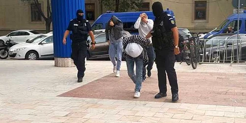 Traficanti etnobotanice FOTO pressalert.ro