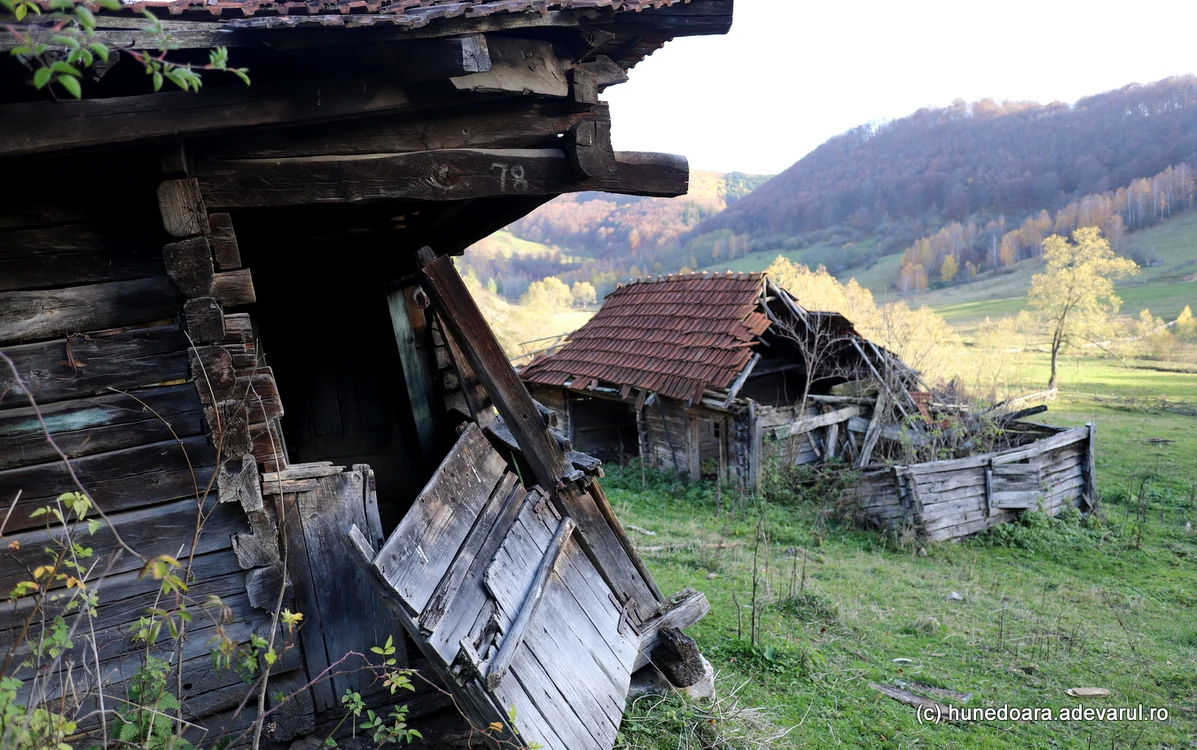 Gospodărie din Ponorici. Foto: Daniel Guță
