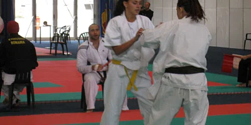 Campionat de kyokushin