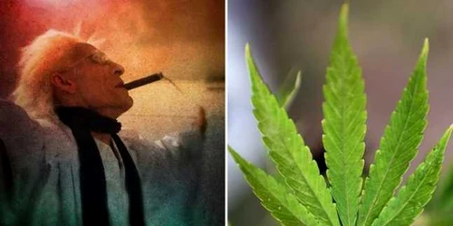 prima biserica a cannabisului