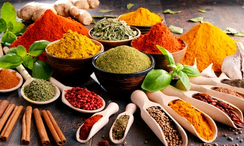 shutterstock 577601422 jpg