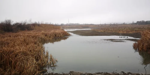 lacul Priseaca. FOTO C.S.