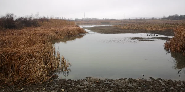 lacul Priseaca. FOTO C.S.
