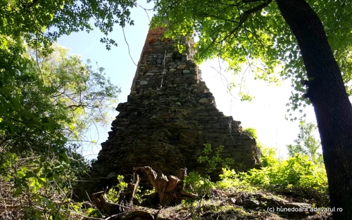 cetatea regala a hategului foto daniel guta adevarul