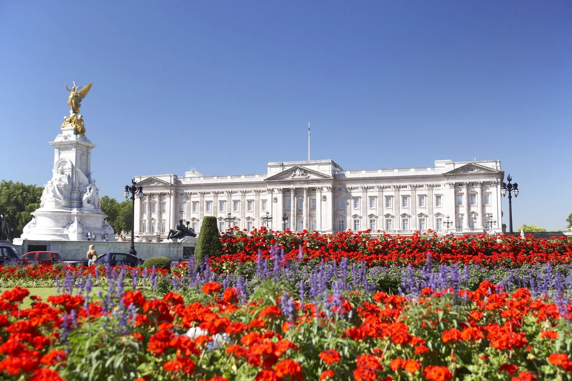 Grădina Palatului Buckingham arată senzațional