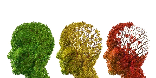 alzheimer shutterstock 264060908 jpg