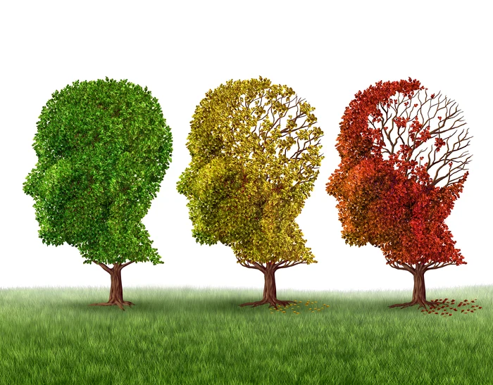 Foto: Shutterstock