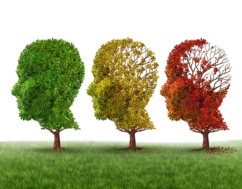 Foto: Shutterstock