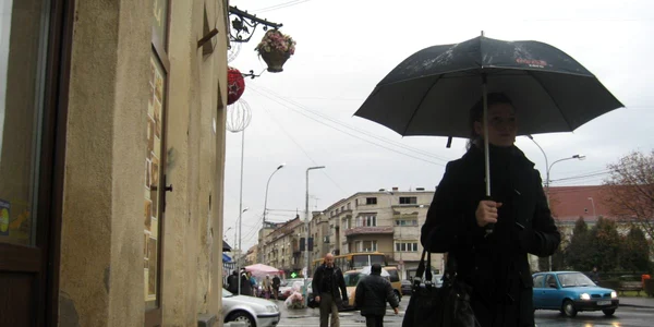 Doar un ghiveci cu flori în locul vechiului simbol al Sătmarului