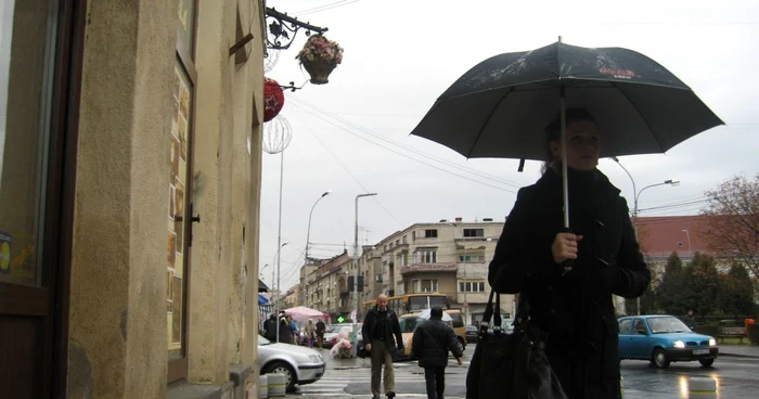 Doar un ghiveci cu flori în locul vechiului simbol al Sătmarului