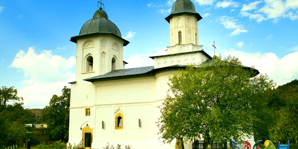 Biserica Raducanu Targu Ocna jpg