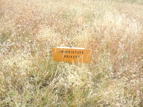 Flori, fete, filme sau băieţi jpeg