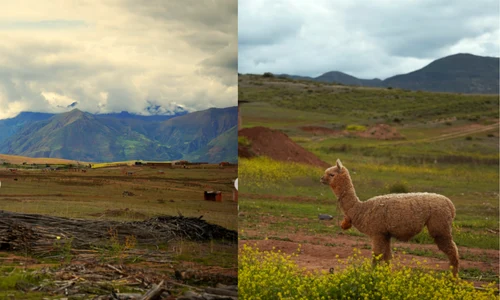 peru instagram png