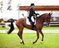 Karpatia Horse Show. Sursa foto: advertorial