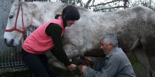 Mihai Grigoroiu spune ca această meserie i-a adus multe satisfacţii