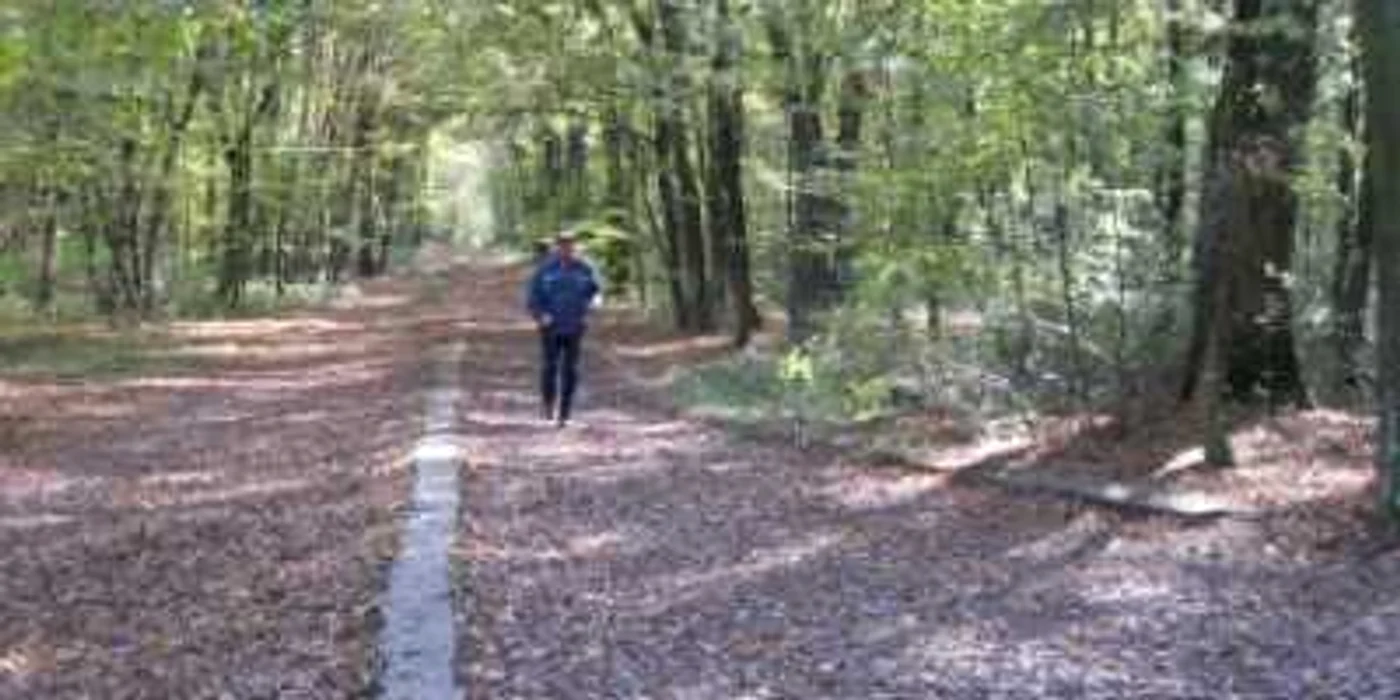 Oradea: Se alege praful de pista de alergare din Băile Felix