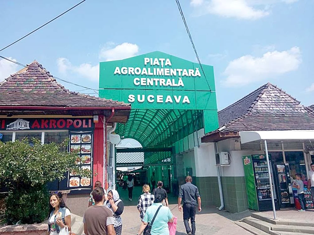 Acoperişul a fost  înlocuit cu unul verde
