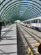 tren in statia otopeni jpeg