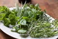 ierburi aromatice