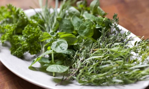 ierburi aromatice