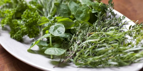 ierburi aromatice