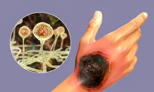 1 shutterstock 1978297631 jpg jpeg