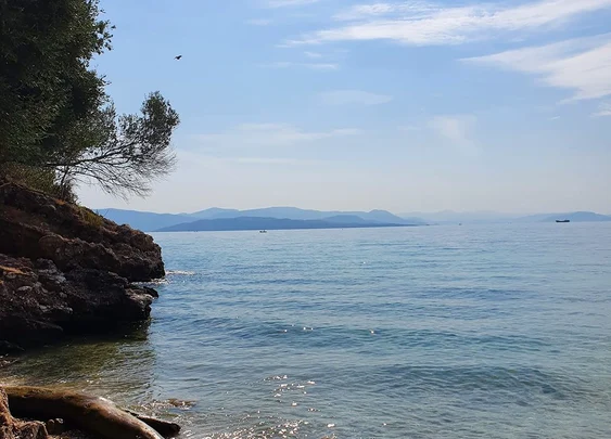 Barbati. FOTO Cristina Stancu