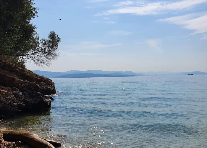 Barbati. FOTO Cristina Stancu