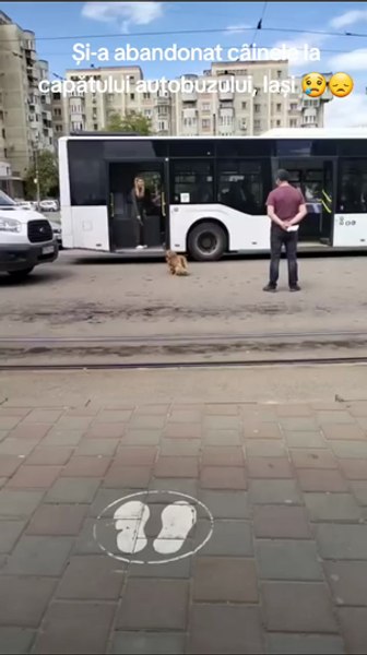 Imagini incredibile în Iași. Riscă o pedeapsă uriașă după ce și-a lovit câinele cu poșeta VIDEO