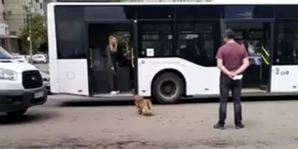 video catel autobuz 2 mp4 thumbnail png