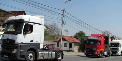 protest camioane alba