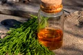 coada calului shutterstock 1927992701 jpeg