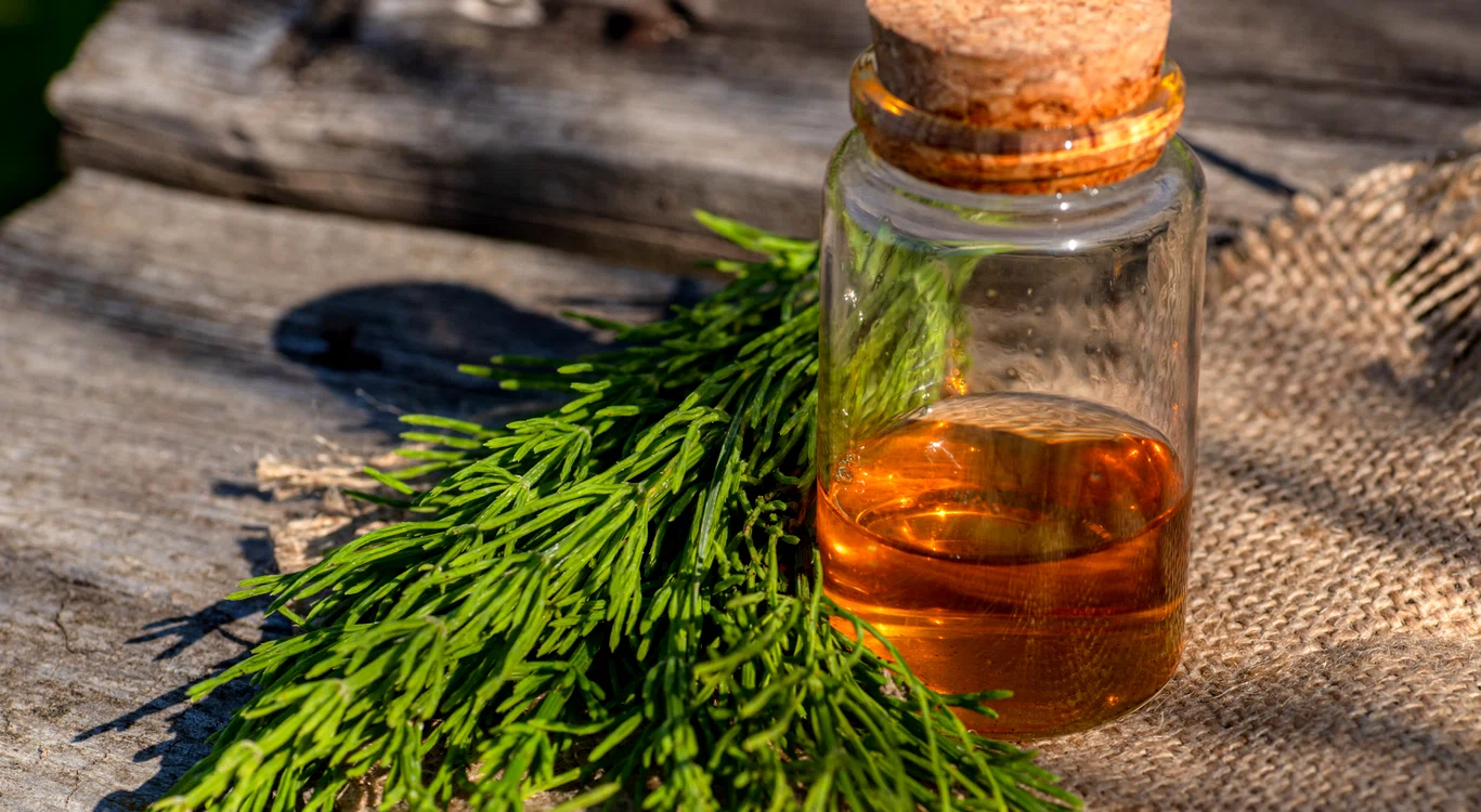 Ea poate trata nenumărate afecțiuni / foto: Shutterstock