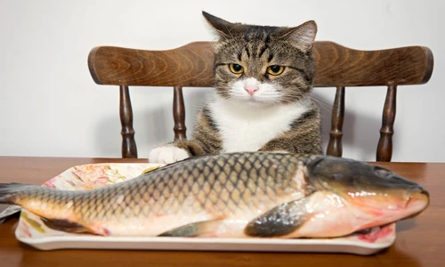 1 79463 original jpg jpeg